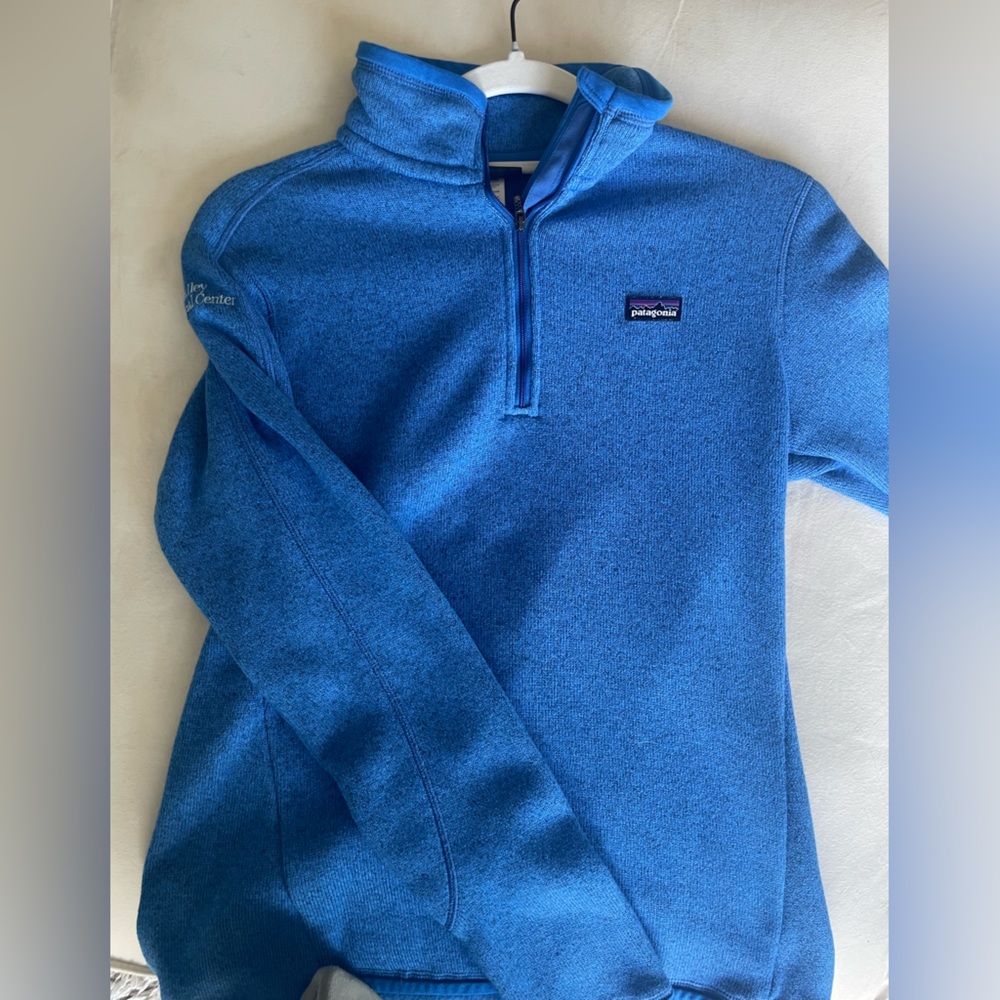 Patagonia quarter zip - Picture 1 of 1